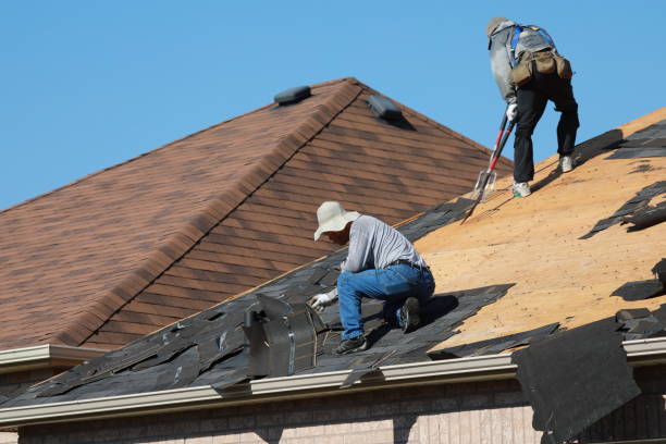 Best Roof Coating and Sealing  in O, MI